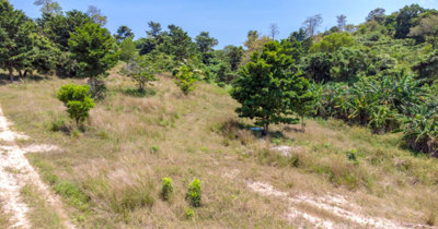 koh-samui-sea-view-land-for-sale-in-plai-laem