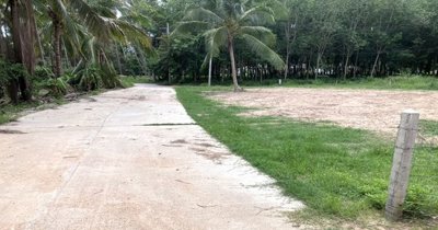 beachside-land-for-sale-koh-samui-1-rai-86258