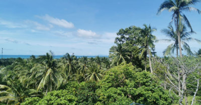 koh-phangan-villas-for-sale-ban-tai-3-bed-364