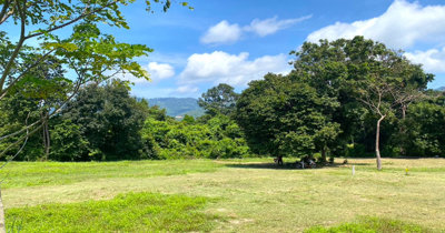 land-for-sale-taling-ngam-koh-samui-10859489