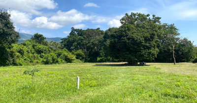 land-for-sale-taling-ngam-koh-samui-10859115