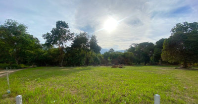 land-for-sale-taling-ngam-koh-samui-10850911