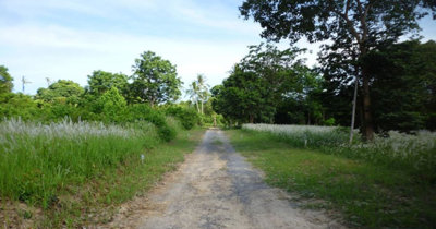 land-for-sale-taling-ngam-koh-samui-10857385