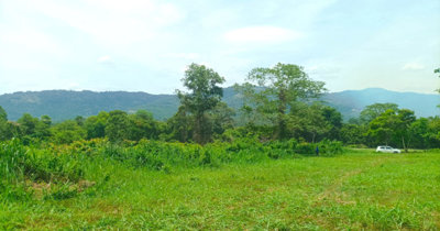 land-for-sale-taling-ngam-koh-samui-10859737