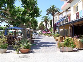 270px-lelavandou02-08062007