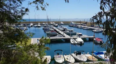 hafen-cabo-roig-2-1