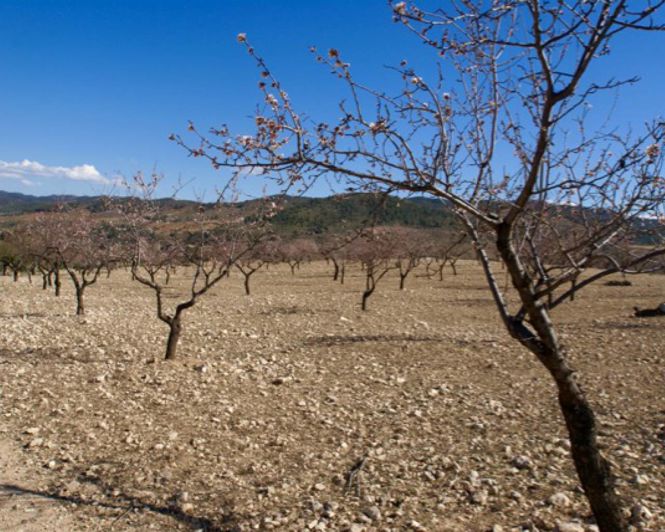 Image No.1-Propriété à vendre à Condado de Alhama