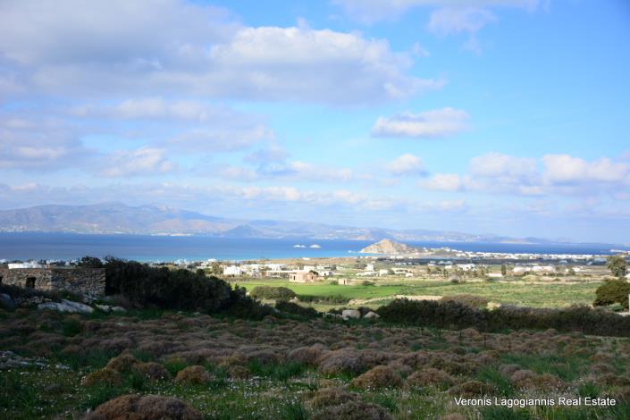 Image No.1-Terre à vendre à Naxos