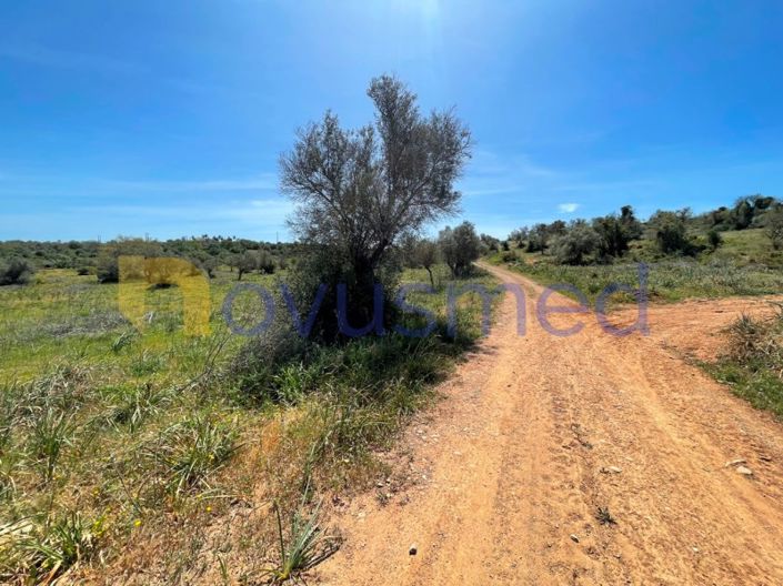 Image No.1-Terrain à vendre à Silves