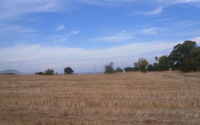 Field in Polis Chrysochous, Paphos