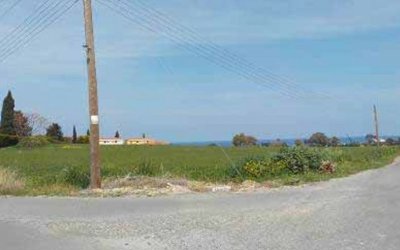 Two adjoining fields in Polis Chrysochous, Paphos