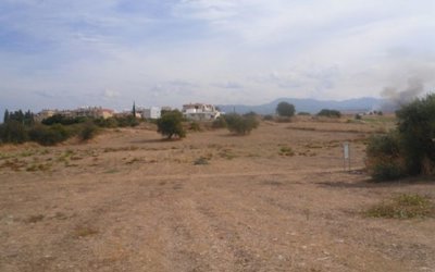 Four adjoining fields in Polis Chrysochous, Paphos