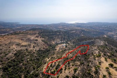 Field in Pegeia, Paphos