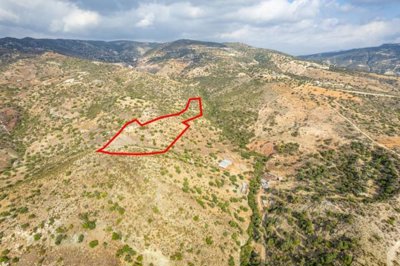 Field in Pegeia, Paphos