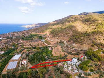 Residential Field in Nea Dimmata, Paphos