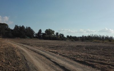 Plot in Polis Chrysochous, Paphos