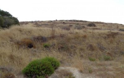 Field in Pomos, Paphos