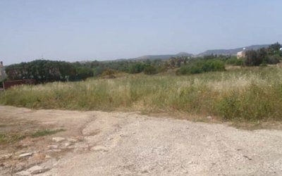 Field in Polis Chrysochous, Paphos