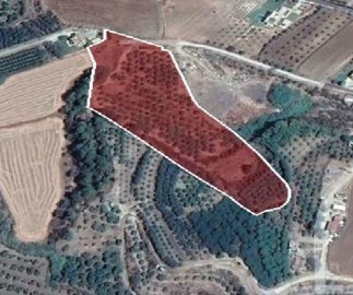 Agricultural Land For Sale  in  Argaka