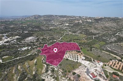 Field in Mesogi, Paphos