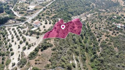 Agricultural Field, Neo Chorio, Paphos