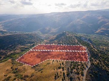 Field - Episkopi, Paphos