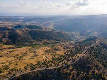 Field - Episkopi, Paphos