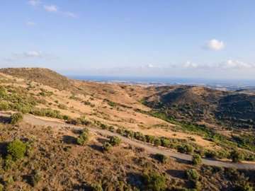 Field - Episkopi, Paphos