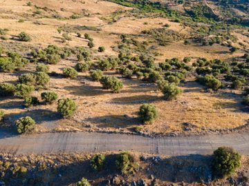 Field - Episkopi, Paphos