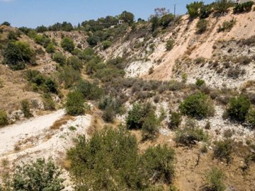 Field - Marathounta, Paphos