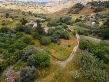 Field - Armou, Paphos