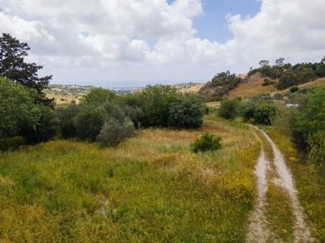 Field - Armou, Paphos