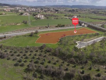 Field - Timi, Paphos