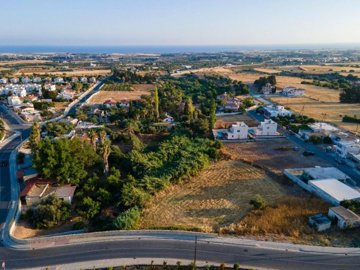 Field - Anarita, Paphos