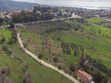 Field - Choletria, Paphos