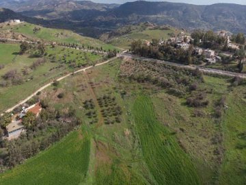 Field - Choletria, Paphos