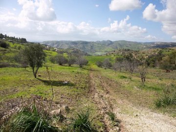 Field - Choletria, Paphos