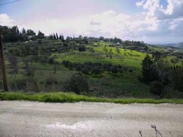 Field - Choletria, Paphos