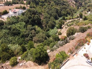 Field - Kissonerga, Paphos