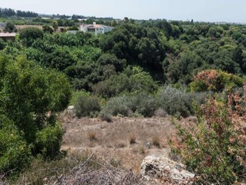 Field - Kissonerga, Paphos