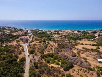 Field - Pomos, Paphos