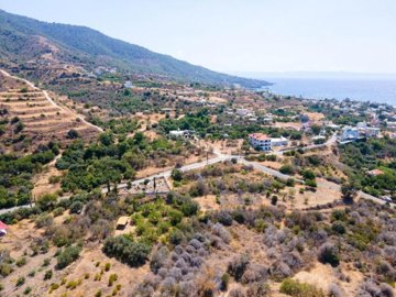 Field - Pomos, Paphos