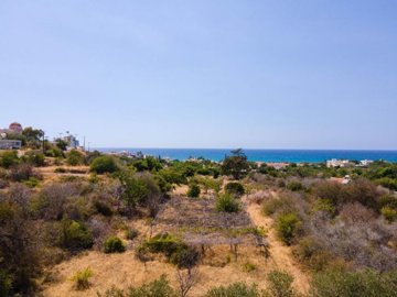 Field - Pomos, Paphos