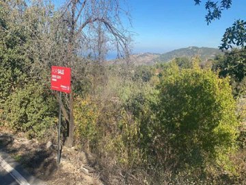 Field - Lysos, Paphos