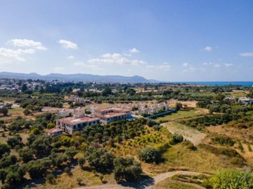 Field - Polis Chrysochous, Paphos