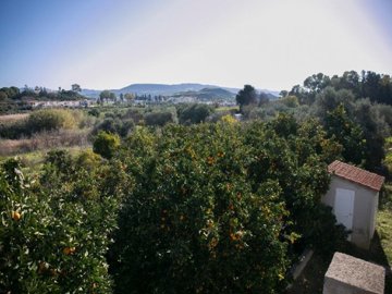 Field - Polis Chrysochous, Paphos