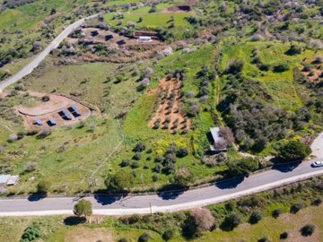 Field - Drouseia, Paphos