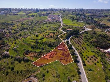 Field - Drouseia, Paphos