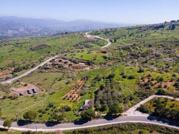 Field - Drouseia, Paphos