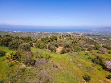 Field - Drouseia, Paphos